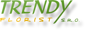 trendyflorist.live